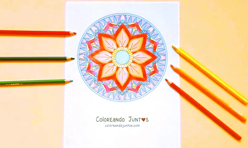 Circular mandala drawing colored by Coloring Together