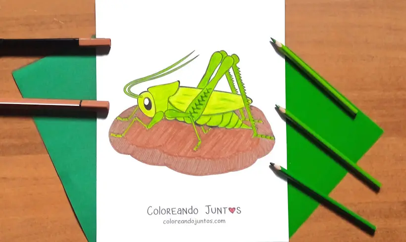 Drawing of a cricket colored by Coloring Together