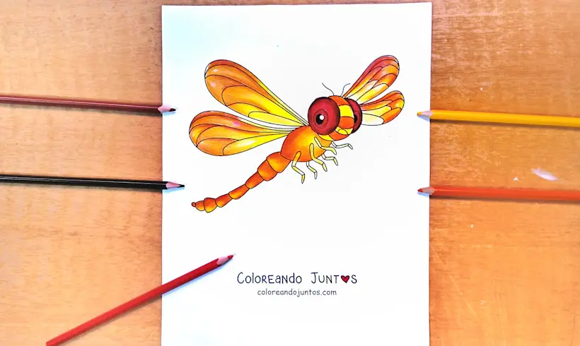 Drawing of a dragonfly colored by Coloring Together