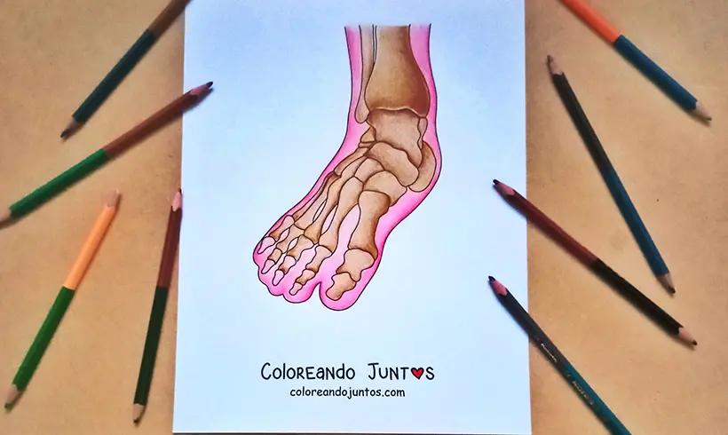 Foot drawing colored by Coloring Together