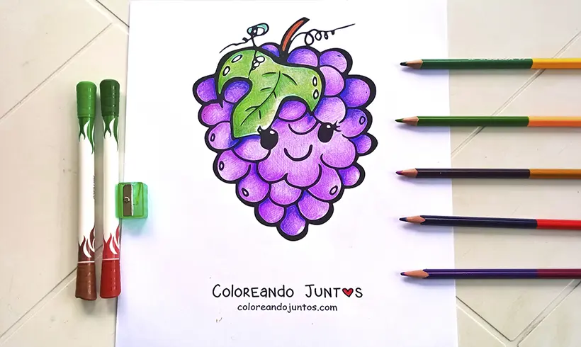 Grapes drawing colored by Coloring Together