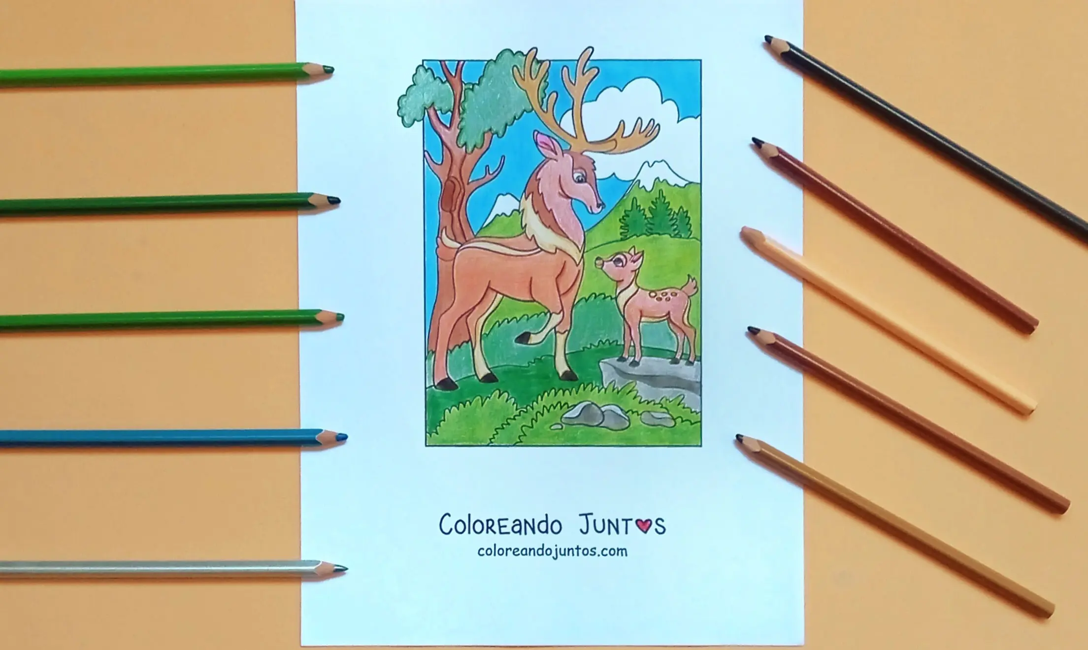 Picture of kawaii nature colored by Coloring Together
