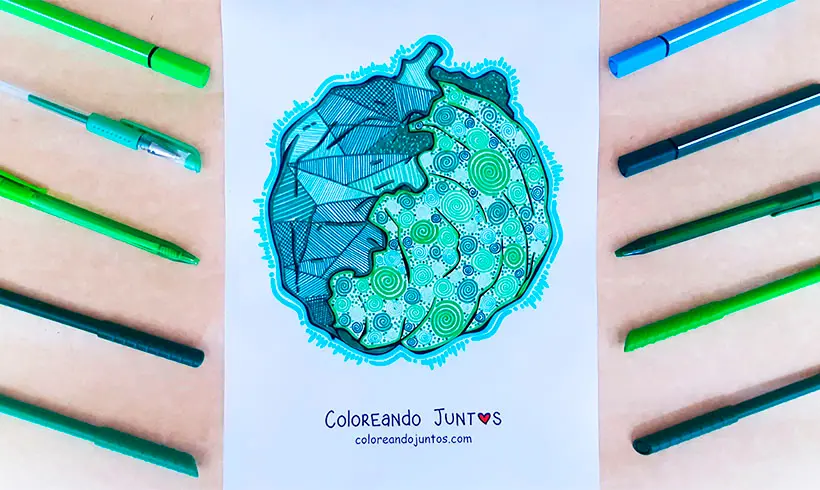 Lettuce drawing colored by Coloring Together