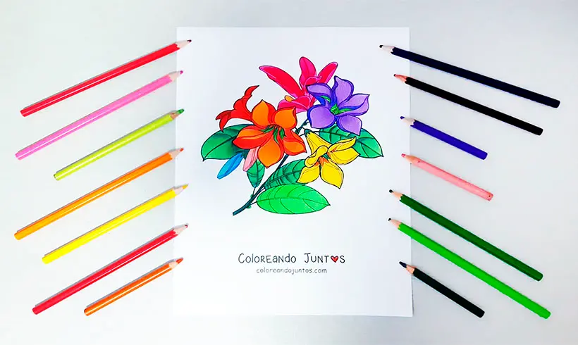 Lily colored by Coloring Together