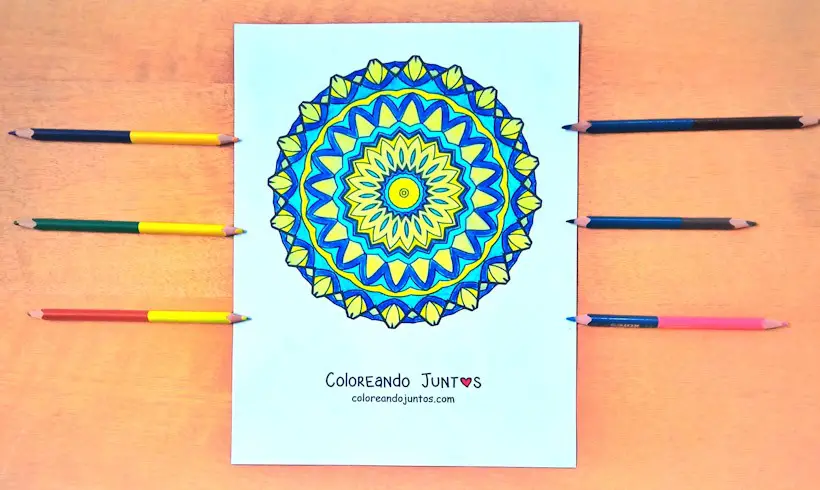 Mandala for adults colored by Coloring Together