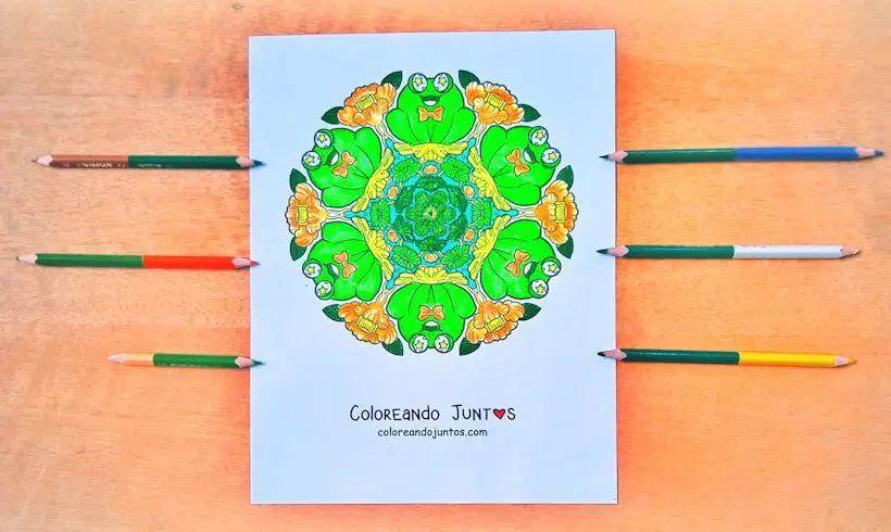 Mandala for kids drawing colored by Coloring Together