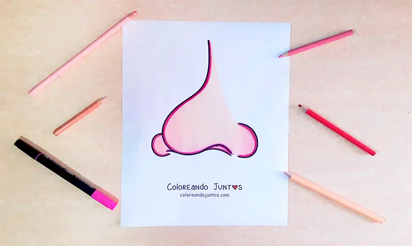 Drawing of a nose colored by Coloring Together