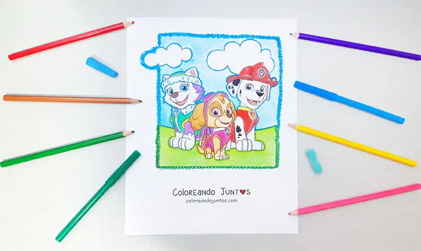 PAW Patrol drawing colored by Coloring Together