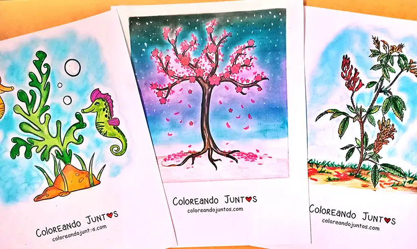 Plants and trees drawings colored by Coloring Together