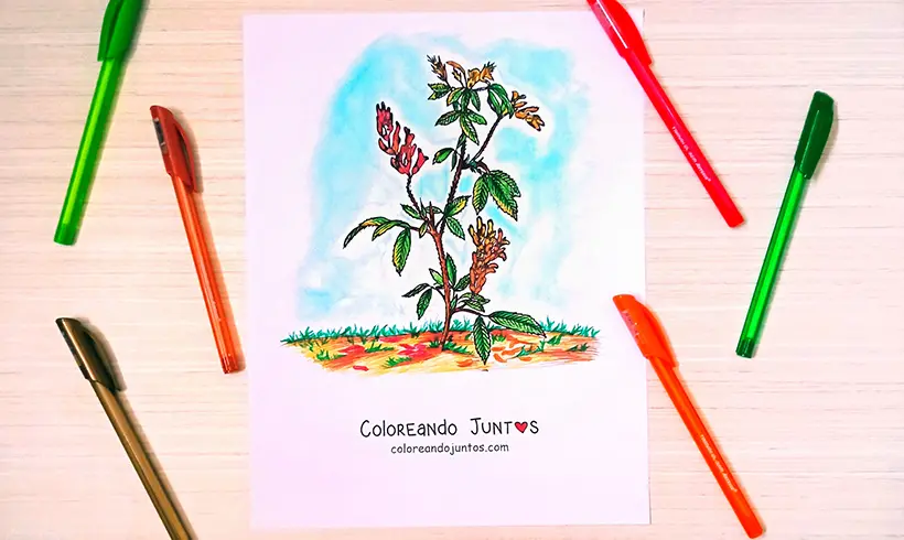 Drawing of a bush colored by Coloring Together