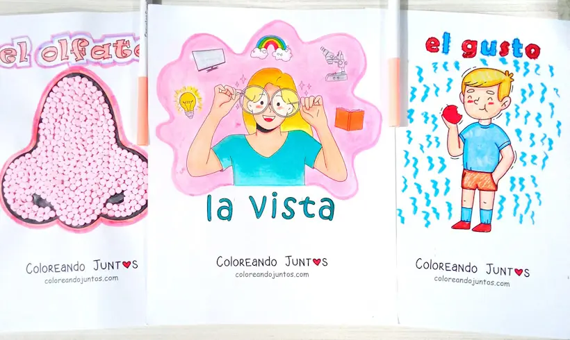 Drawings of the 5 senses colored by Coloring Together
