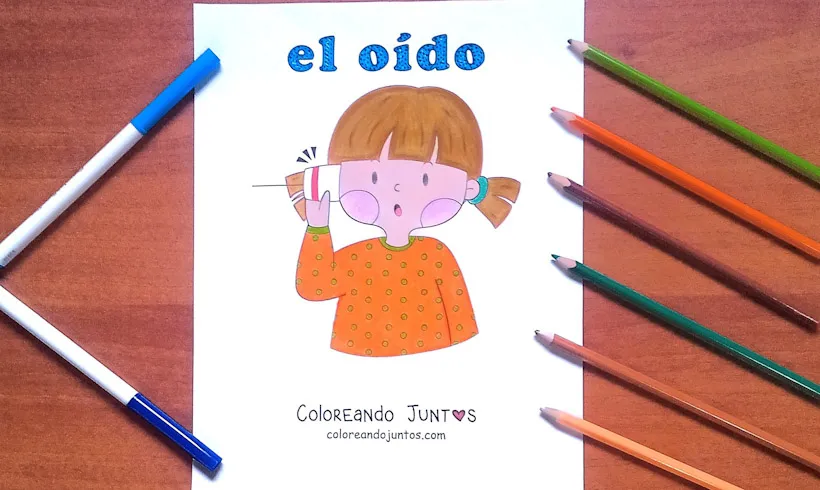 Sense of hearing drawing colored by Coloring Together