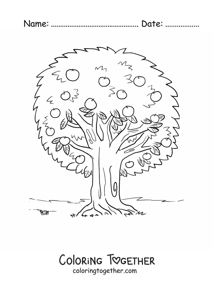Coloring page of an apple tree with apples