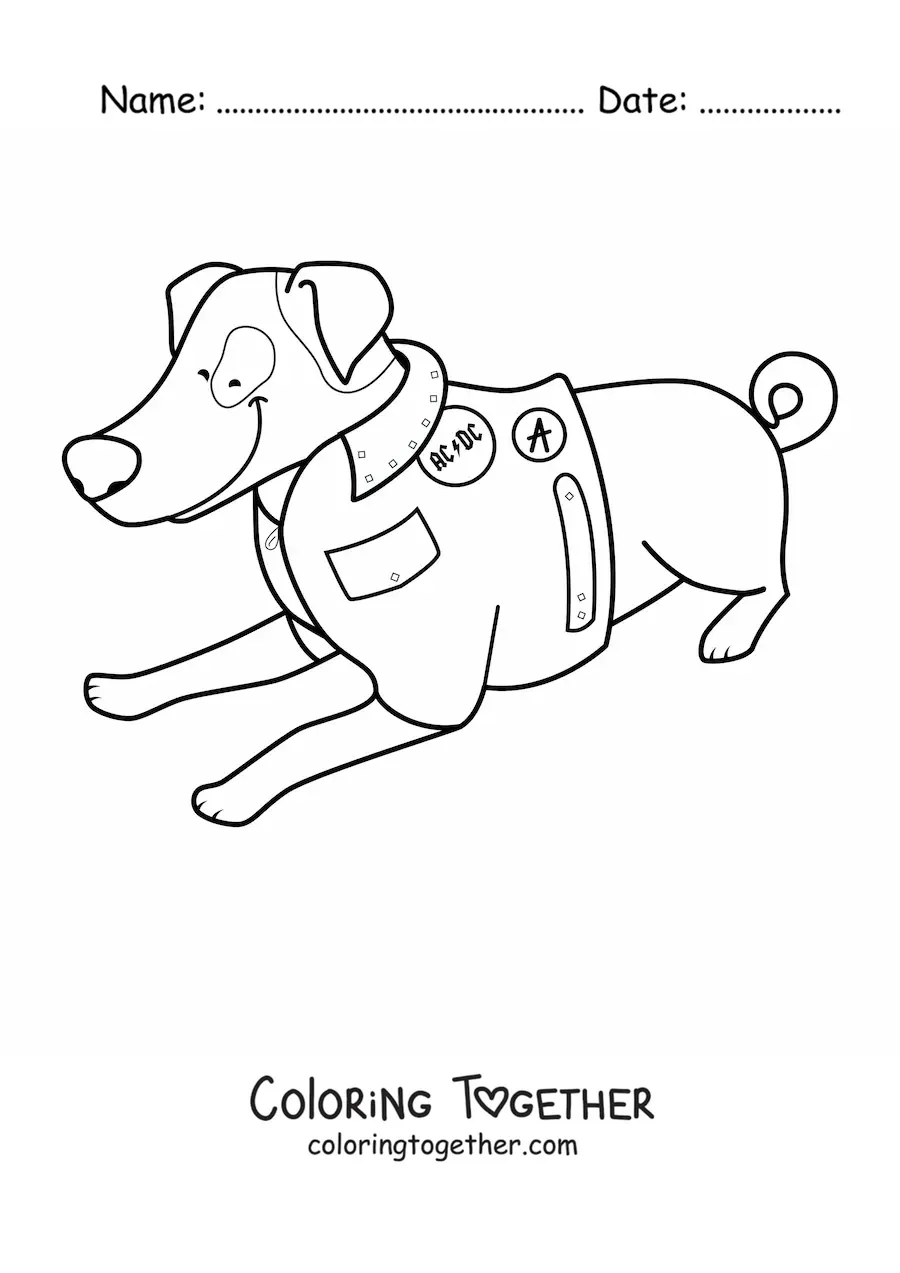 Coloring page of a Jack Russell terrier lying down and wearing a jacket
