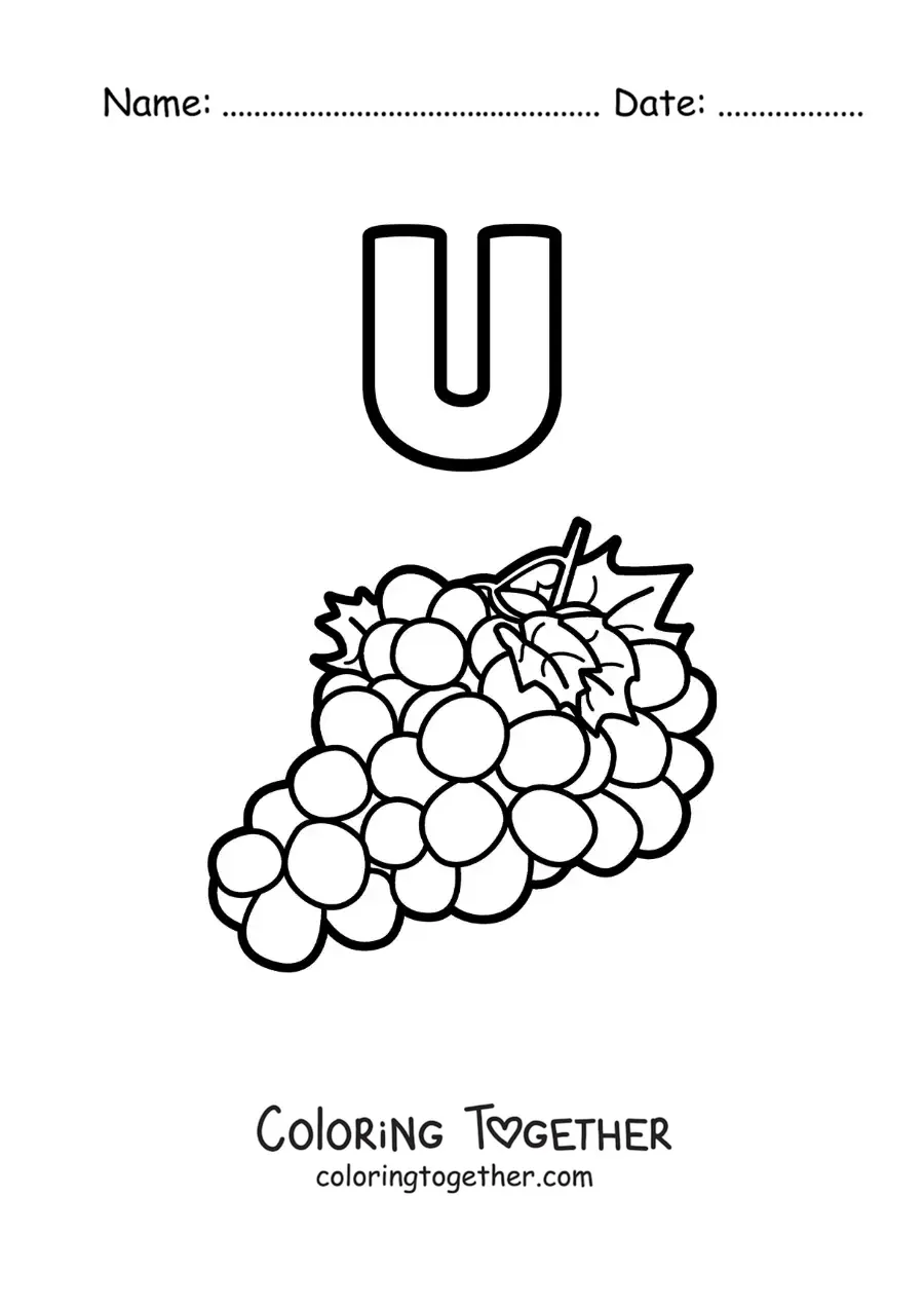 Coloring page of the letter u for grapes
