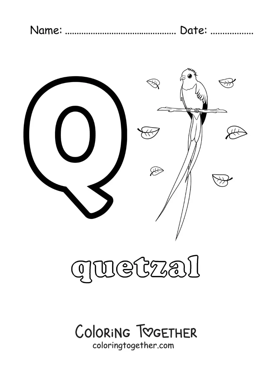 Coloring page of the letter q for quetzal
