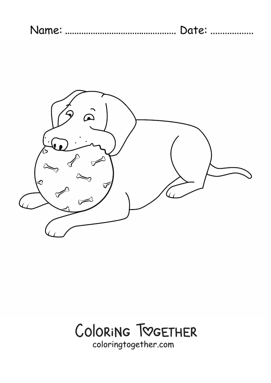Coloring page of a Labrador lying down and biting a ball