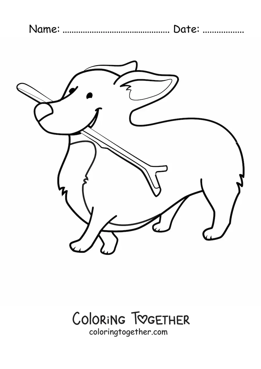 Coloring page of a corgi biting a stick