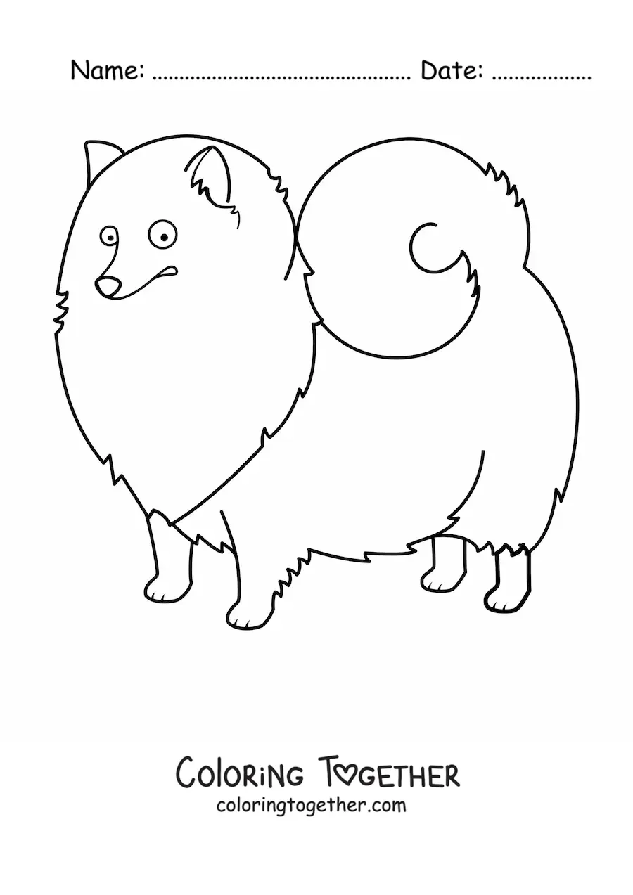 Coloring page of a Pomeranian
