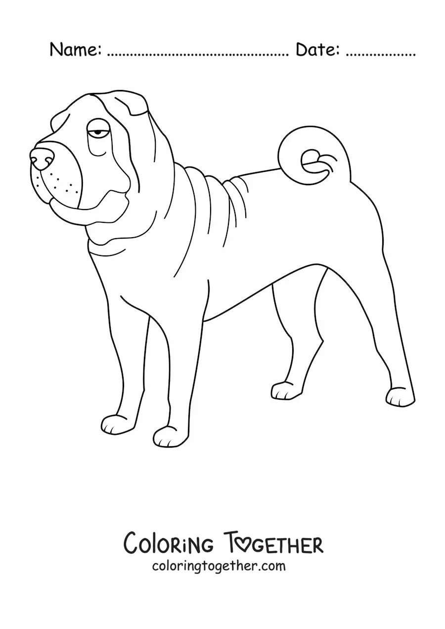 Coloring page of a shar pei