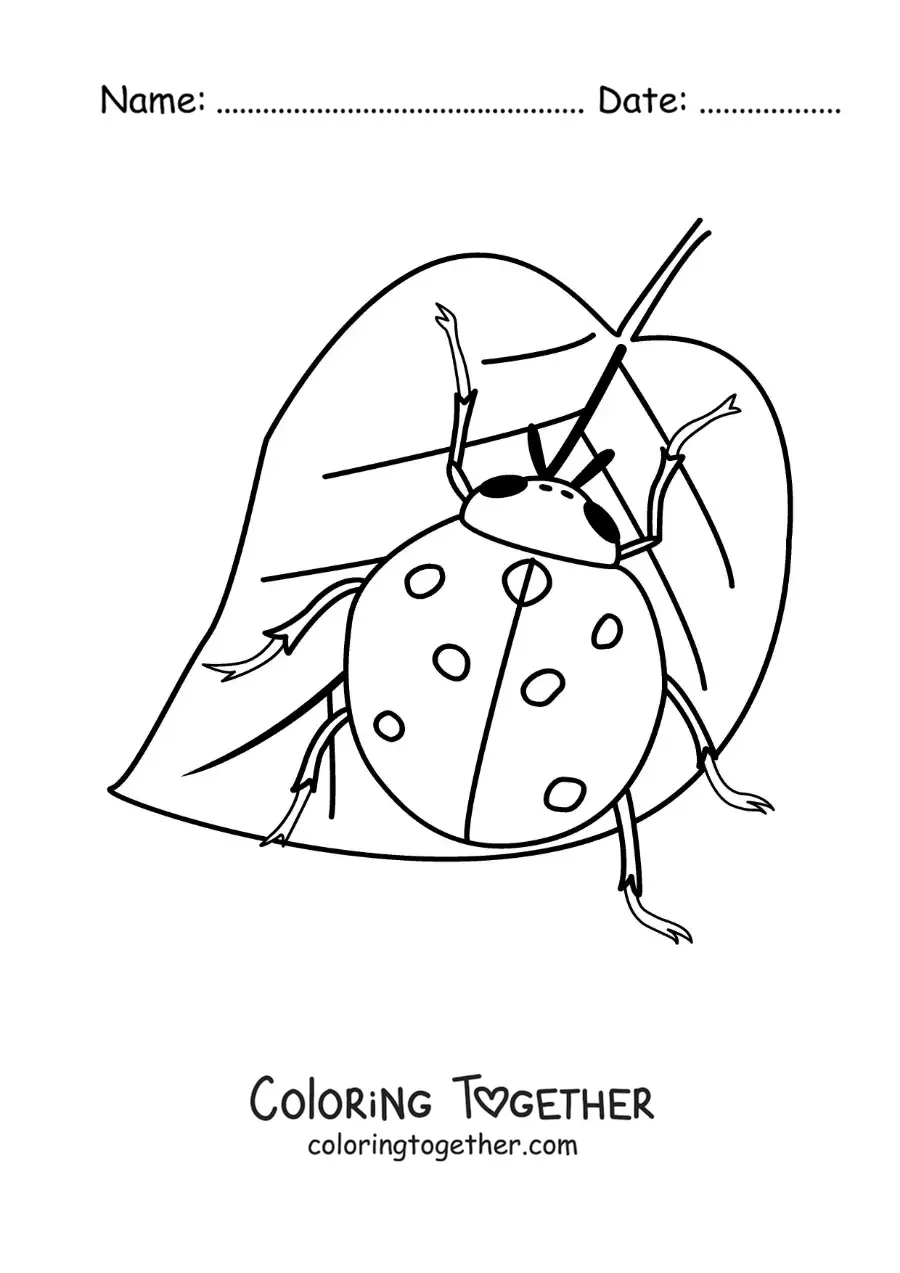 Coloring page of a realistic ladybug on a leaf