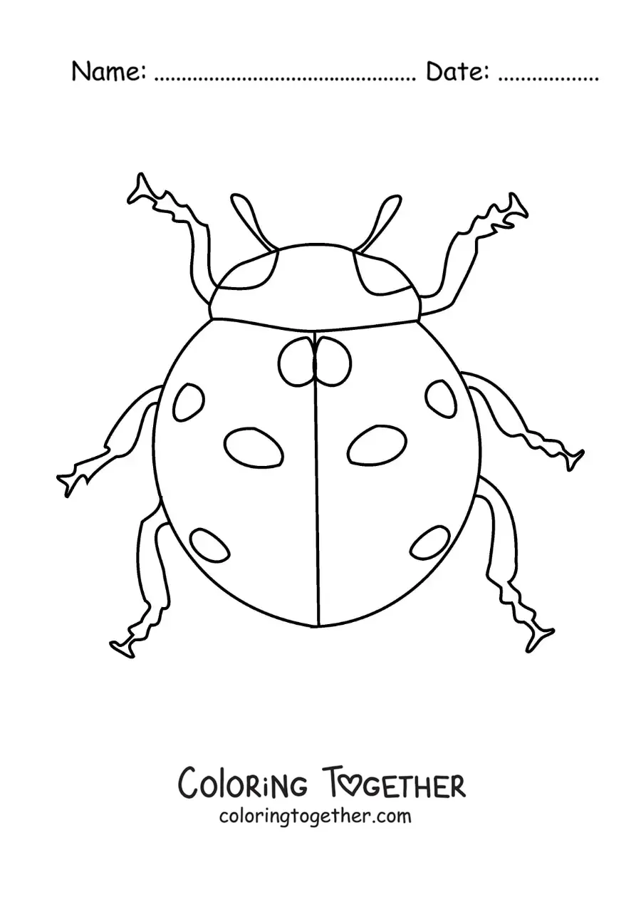 Coloring page of a realistic ladybug