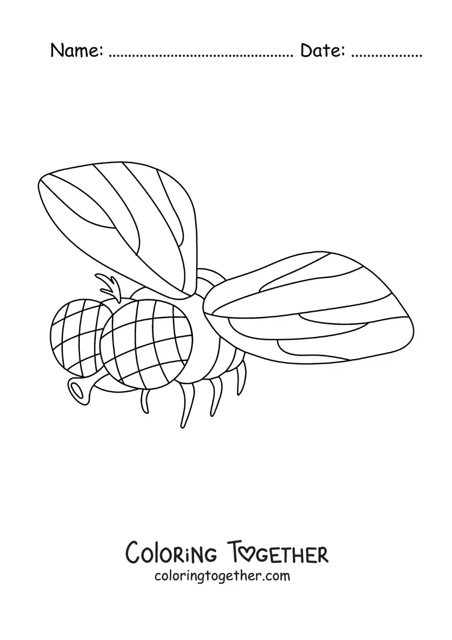 Coloring page of a housefly flying