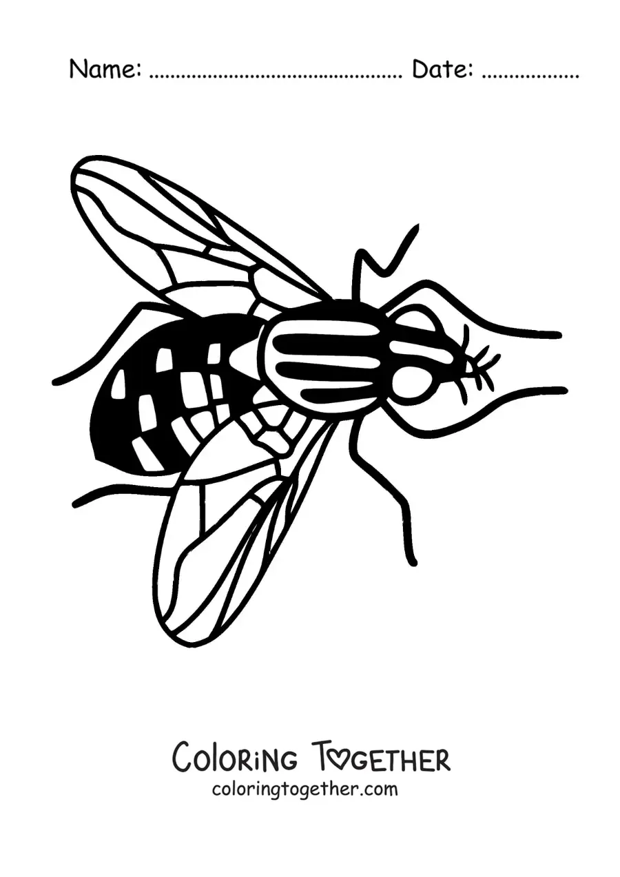 Coloring page of a big fly