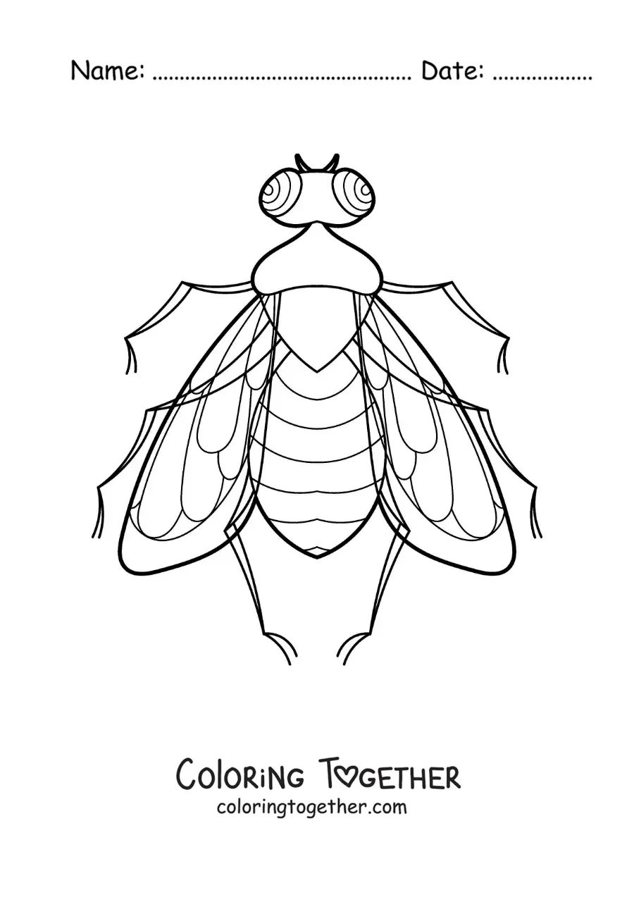 Coloring page of a realistic fly