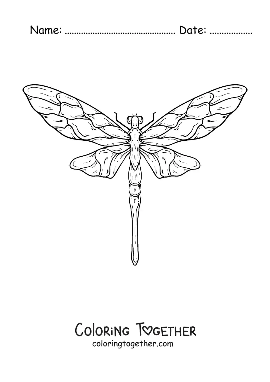 Coloring page of a realistic dragonfly
