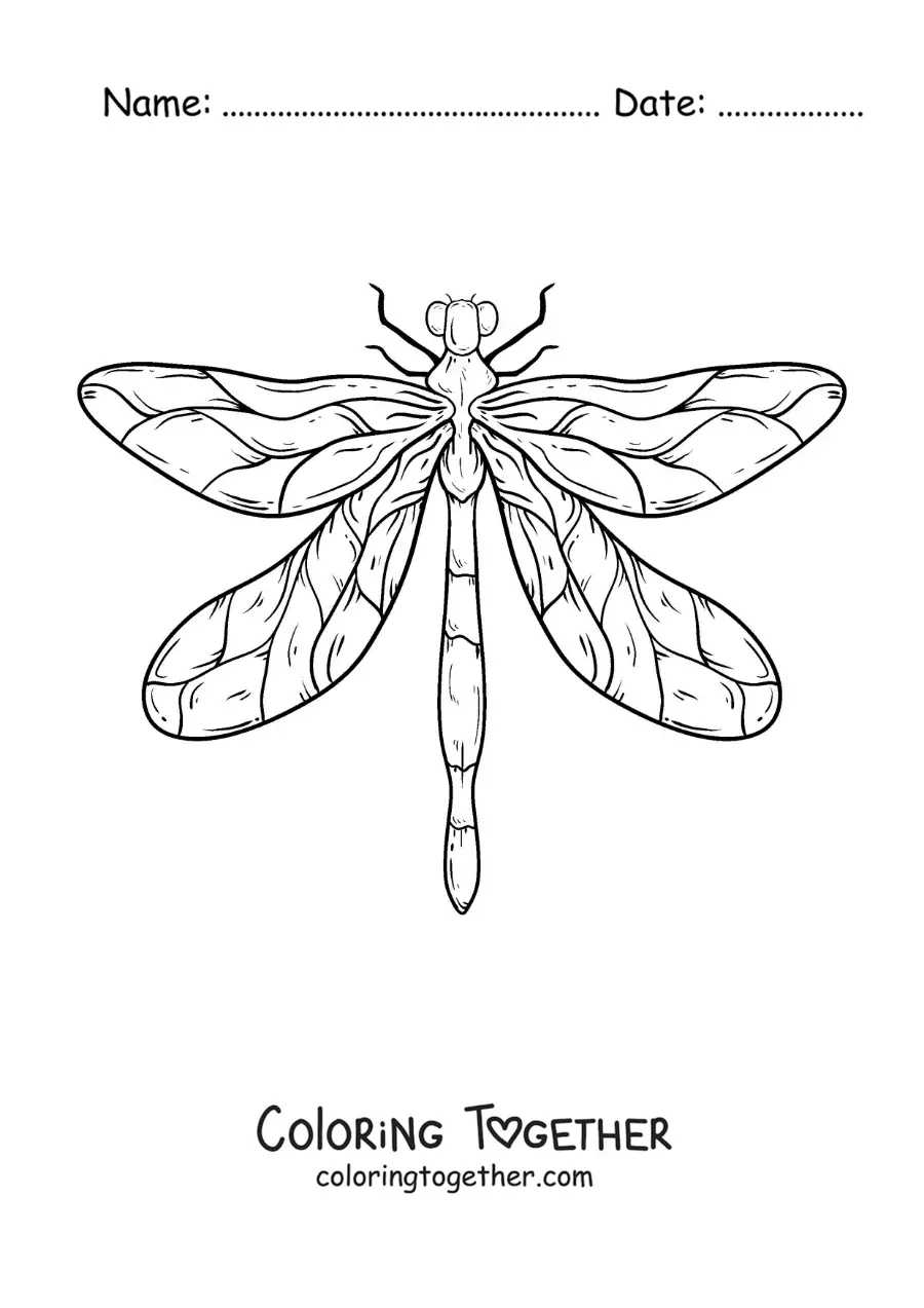 Coloring page of a big, realistic dragonfly