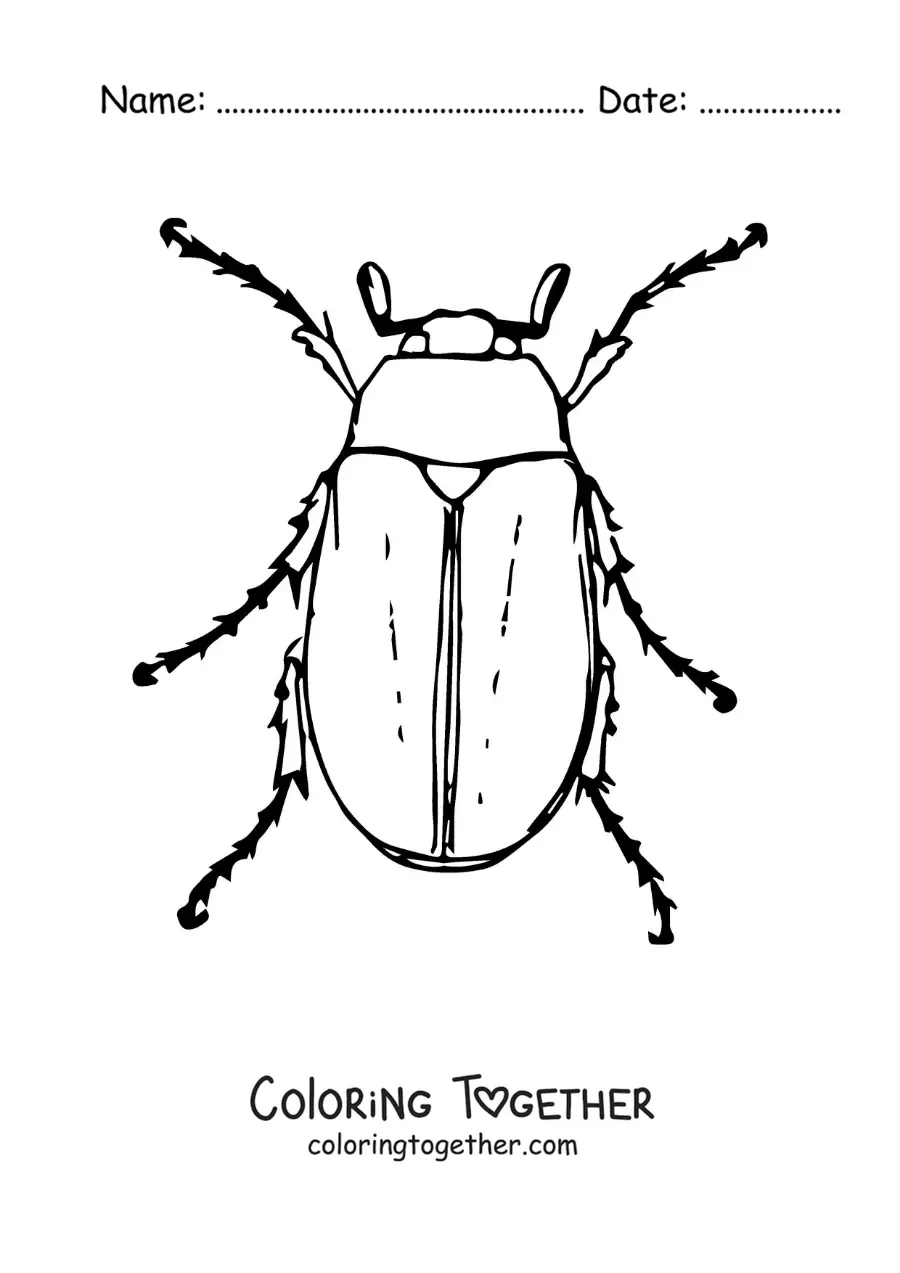 Coloring page of a big, realistic cockchafer