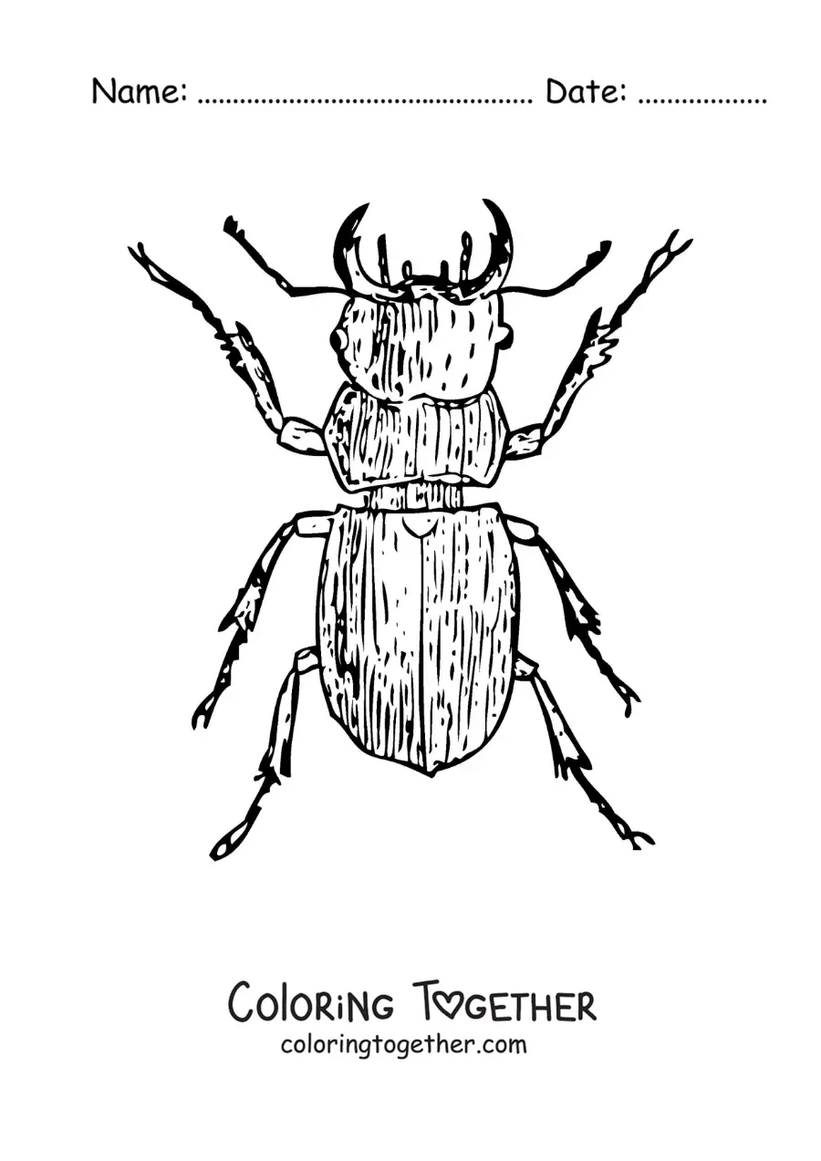 Coloring page of a realistic dung beetle