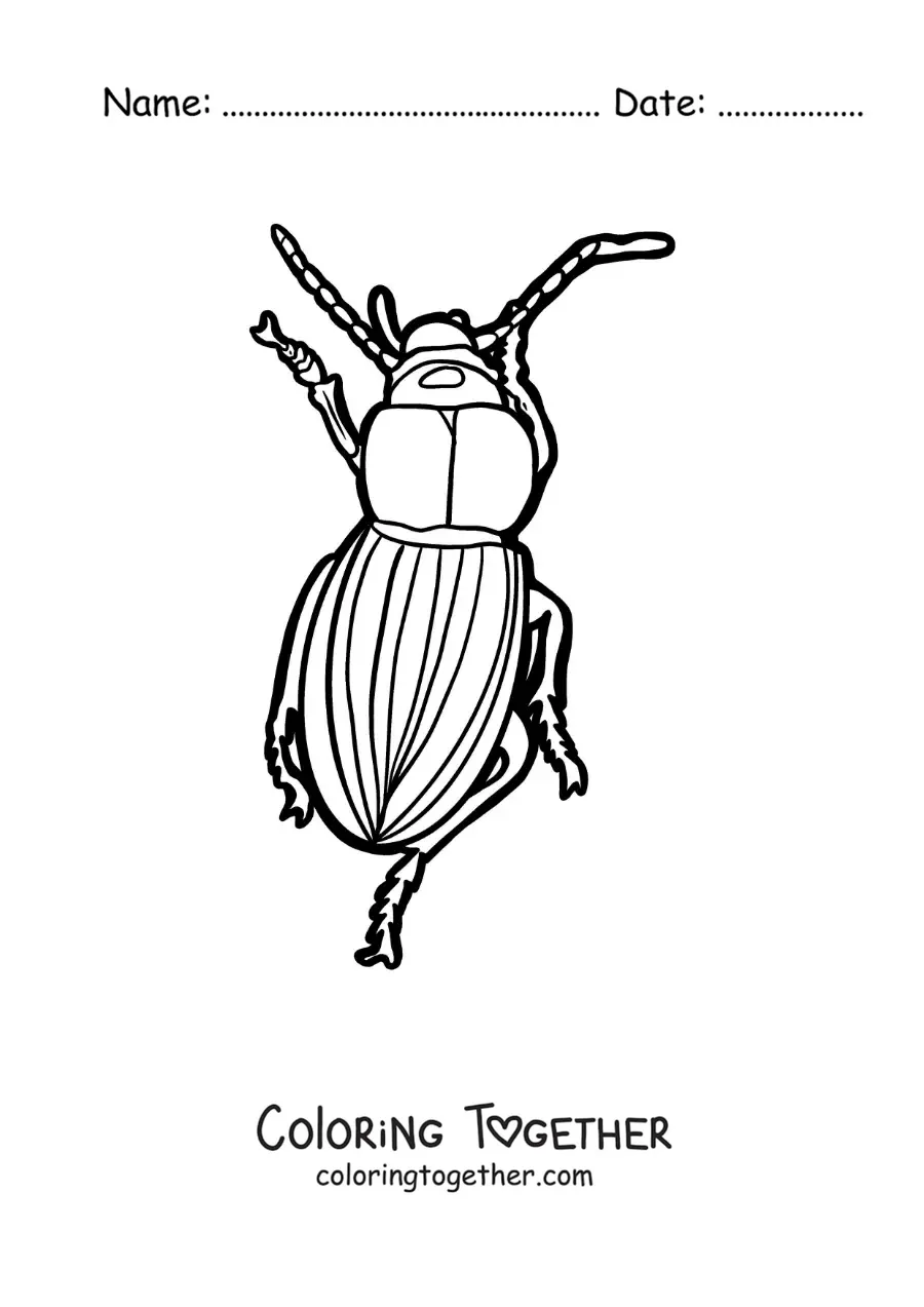Coloring page of a beetle walking