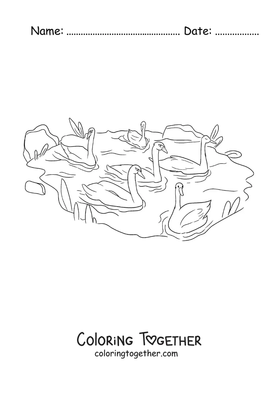 Coloring page of the Ugly Duckling swimming with the swans