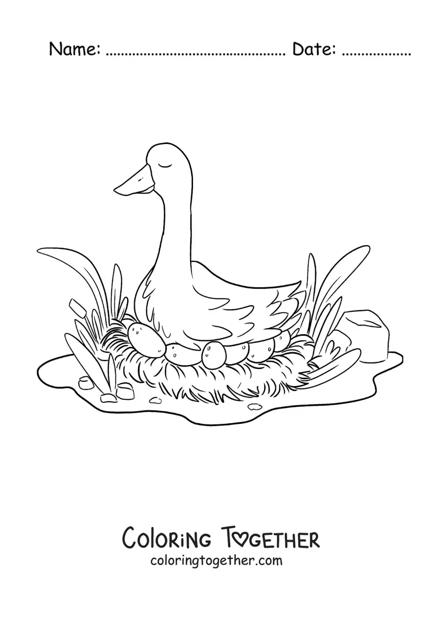 Coloring page of the Ugly Duckling's mom sitting on her eggs