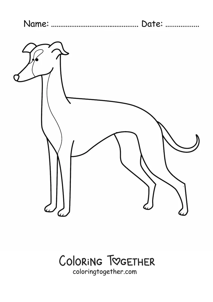 Coloring page of an Italian greyhound