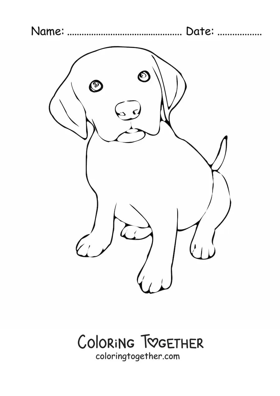 Coloring page of a Labrador puppy