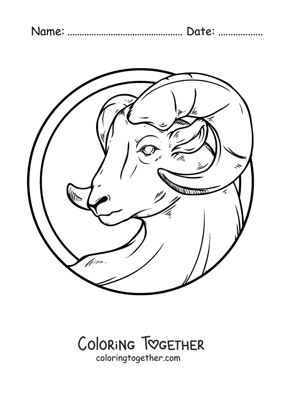 Coloring page of the ram of the Aries sign, realistic and large