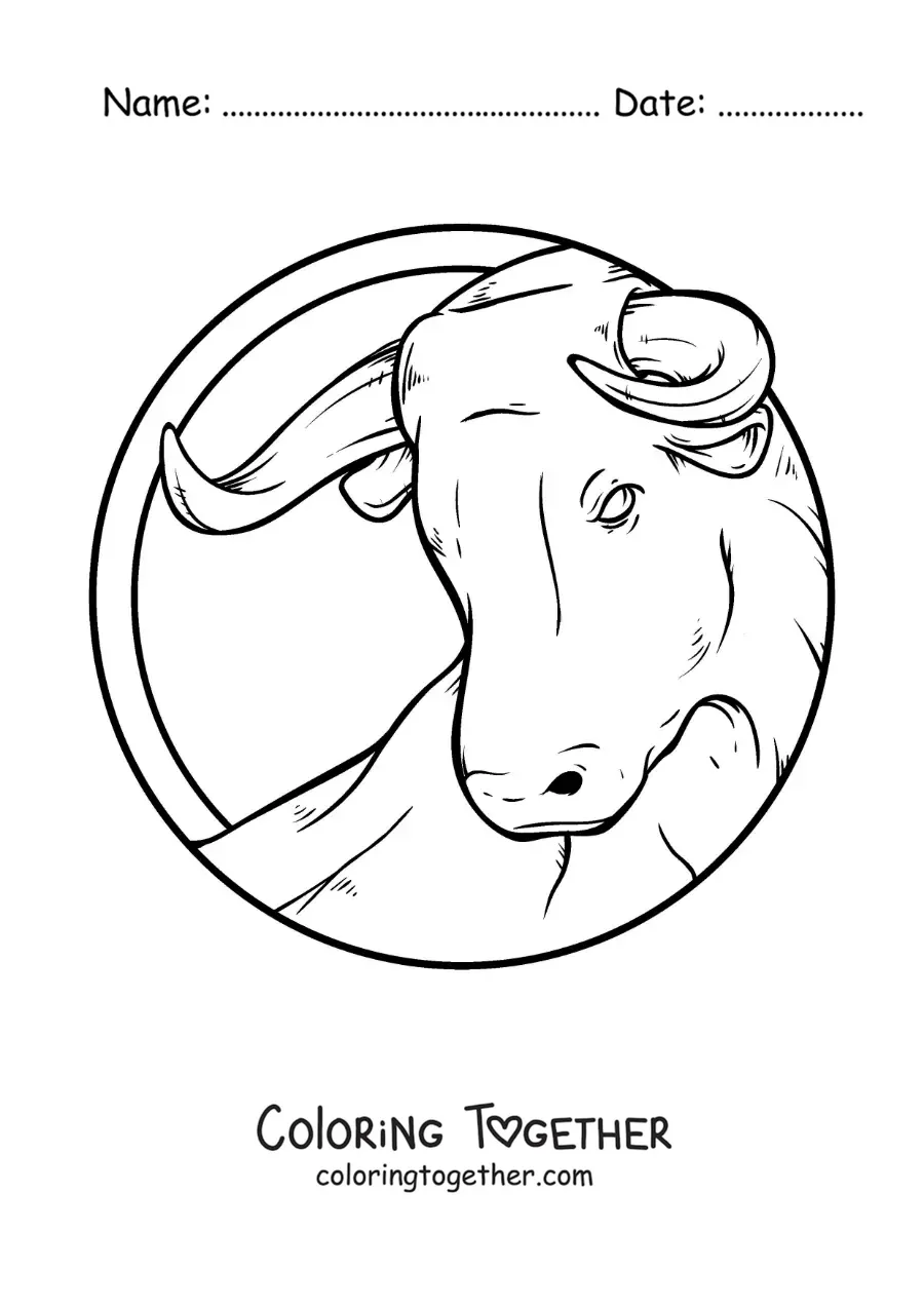 Coloring page of the bull of the Taurus zodiac sign, realistic and large