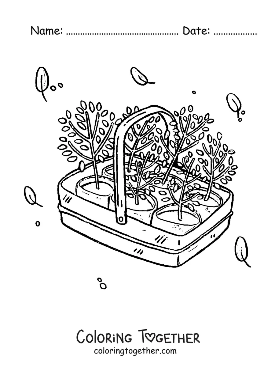 Coloring page of plants ready to transplant in a basket
