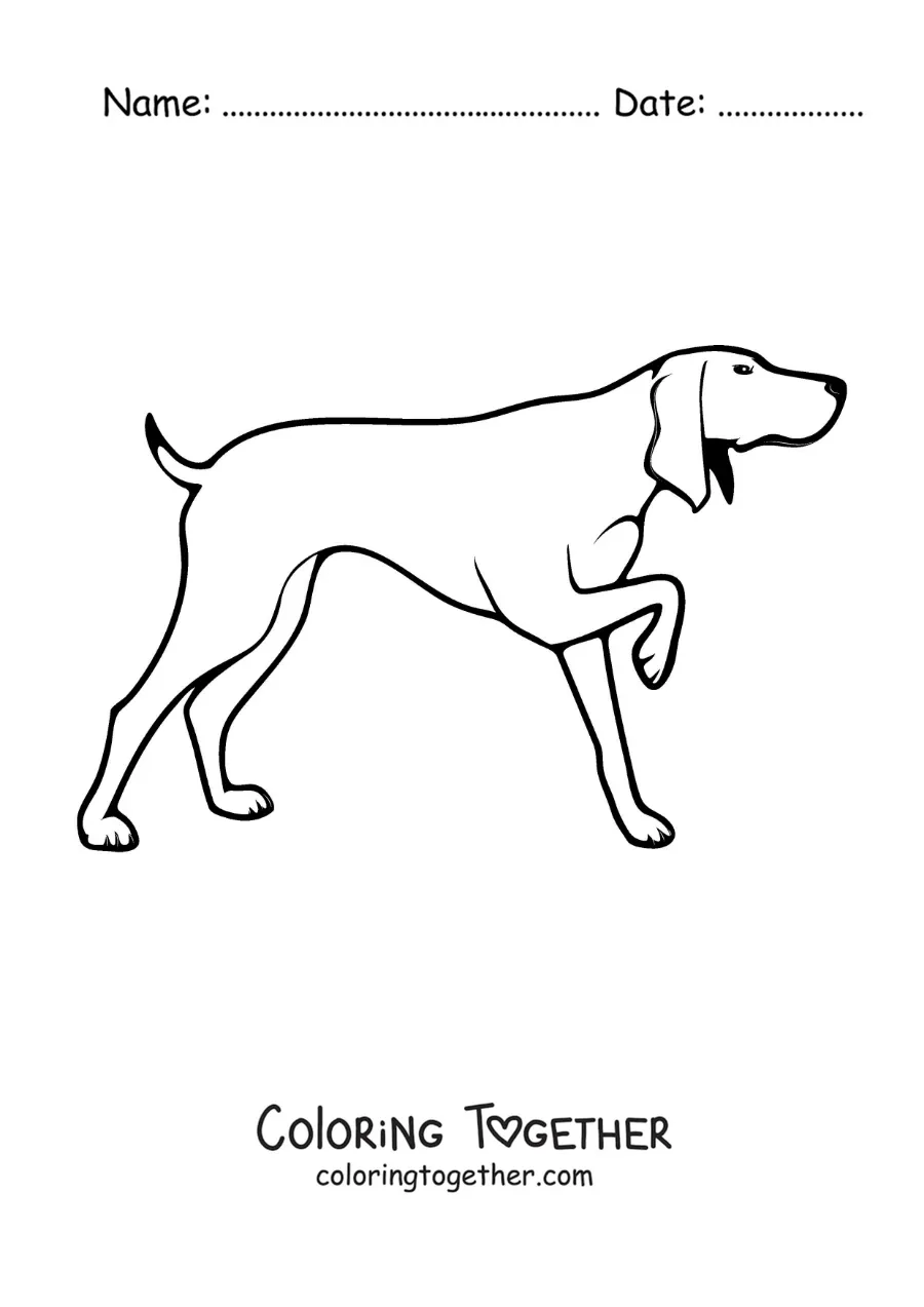 Coloring page of a hunting dog