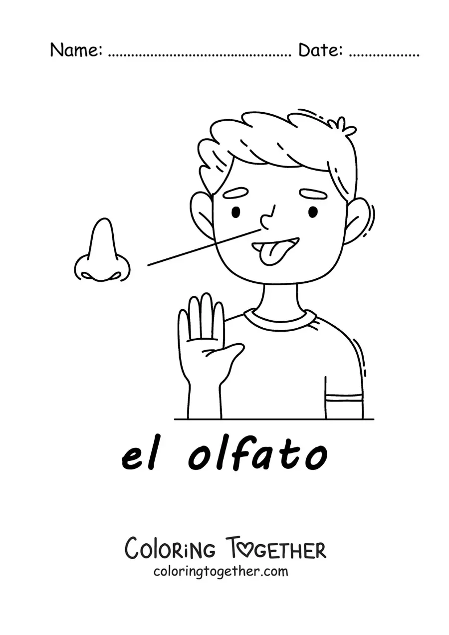 Coloring page of the sense of smell in the human body for kids