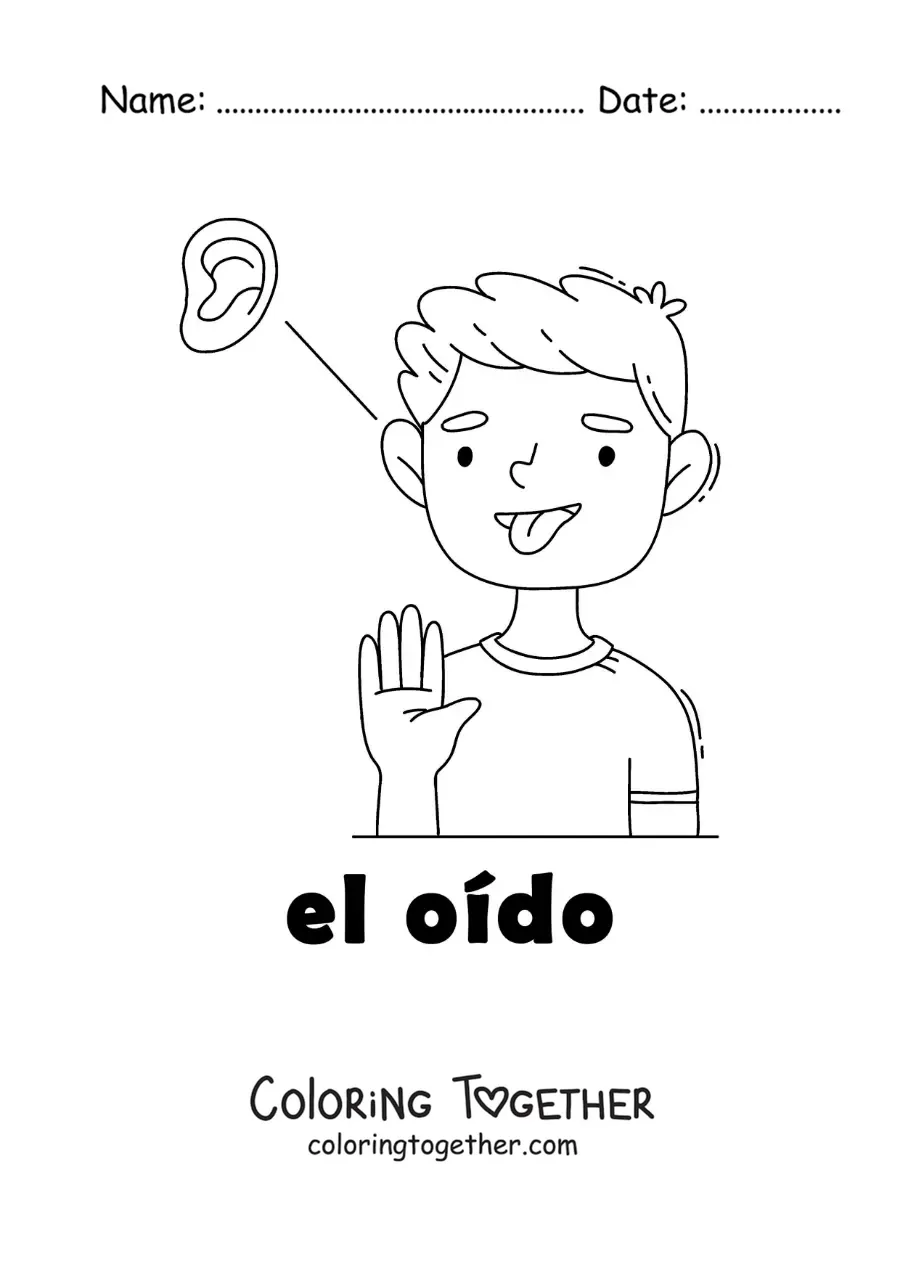 Coloring page of the sense of hearing in the human body for kids