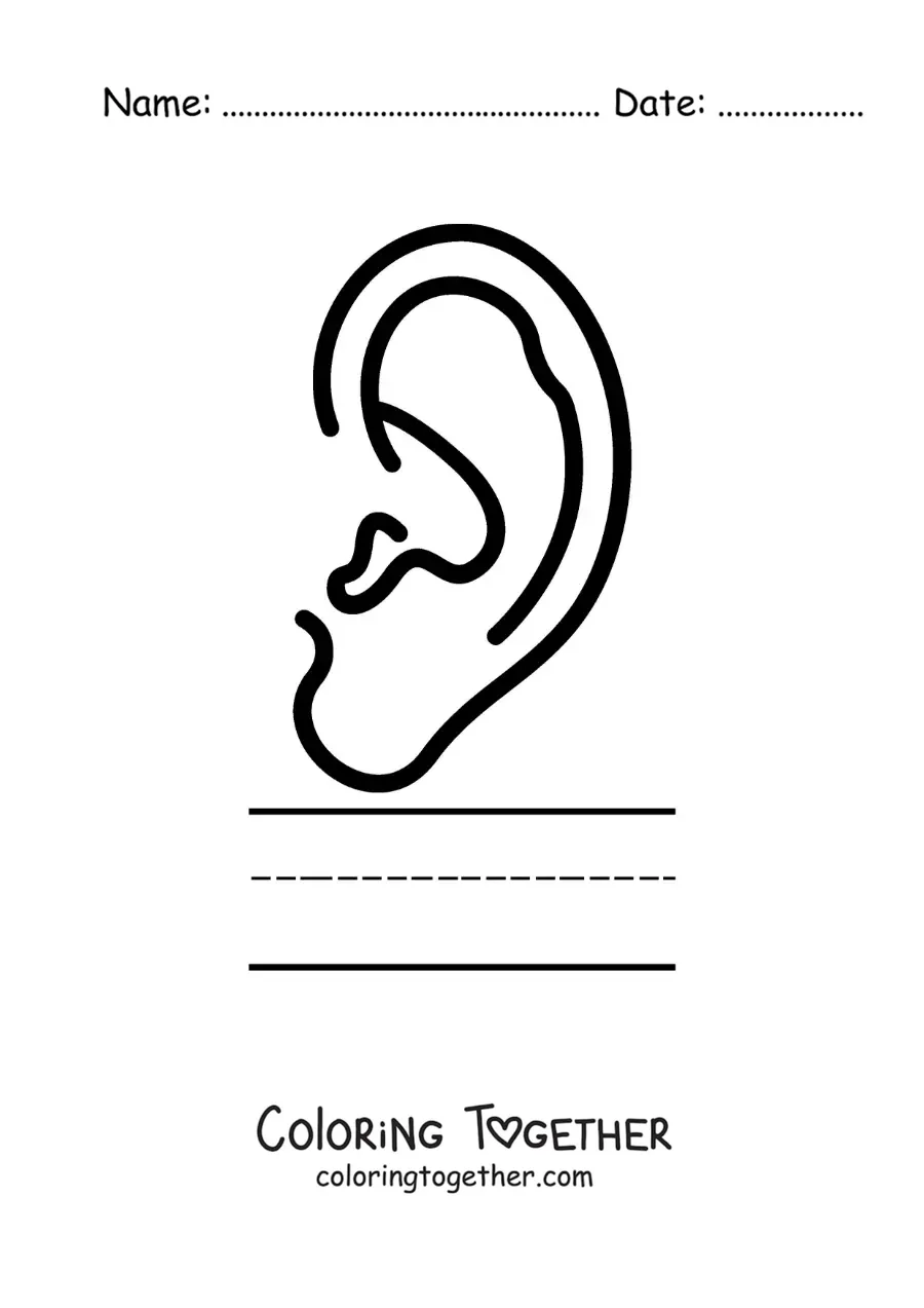 Coloring page of an educational activity for kids about the sense of hearing