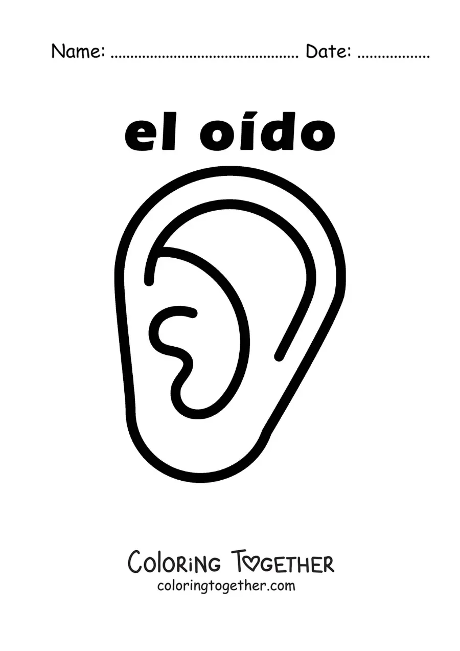 Coloring page of an educational worksheet on the sense of hearing