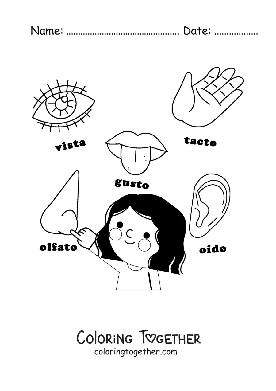 Coloring page of the organs of the 5 senses in cartoon style for kids