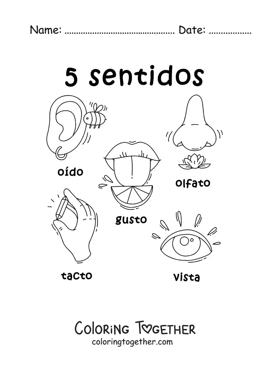 Coloring page of cartoon examples of the 5 senses for kids