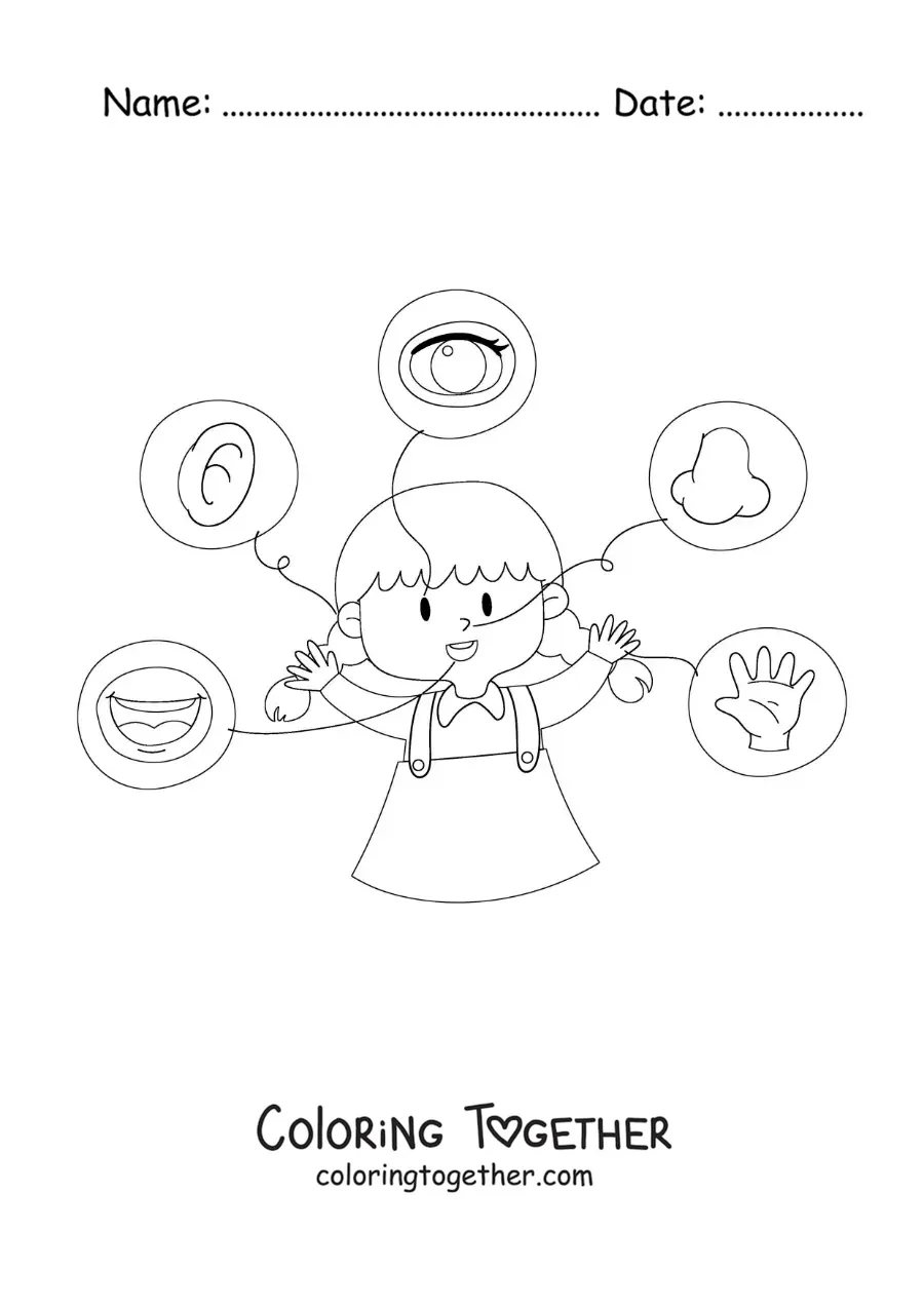 Coloring page of the 5 senses pointed out on the human body