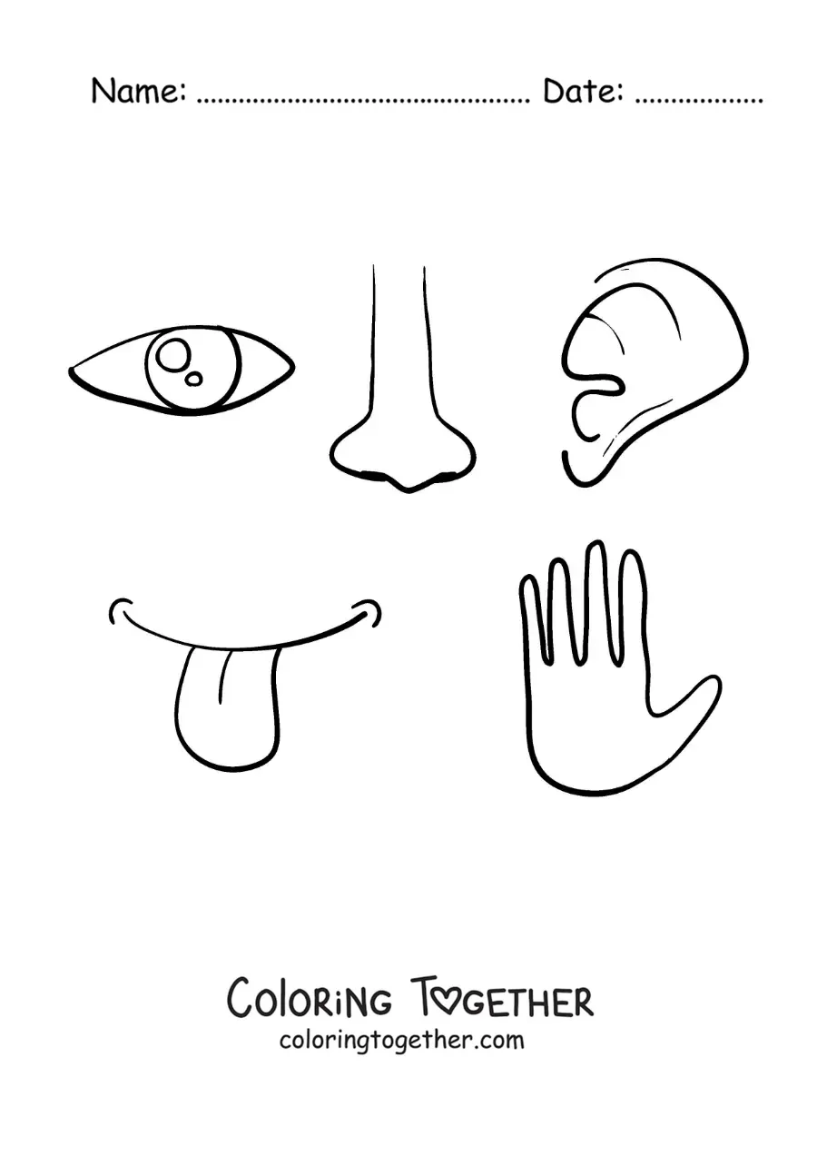 Coloring page of body parts of the 5 senses